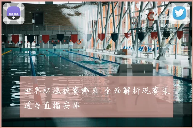 世界杯选拔赛哪看 全面解析观赛渠道与直播安排